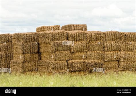 Straw Bales Tractor Supply Hi Res Stock Photography And