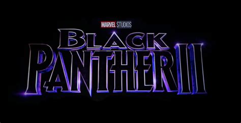 Black Panther 2: 5 Things That Have Been Confirmed (& 5 Fan Theories)