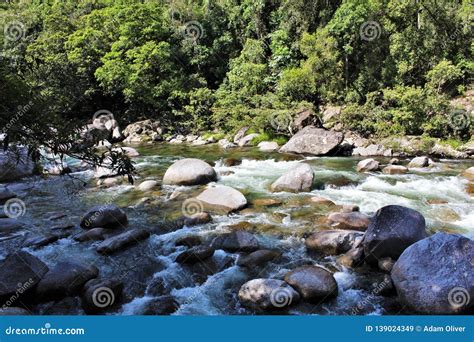 White Water Rushing Over Rocks In A Rainforest Stock Image Image Of