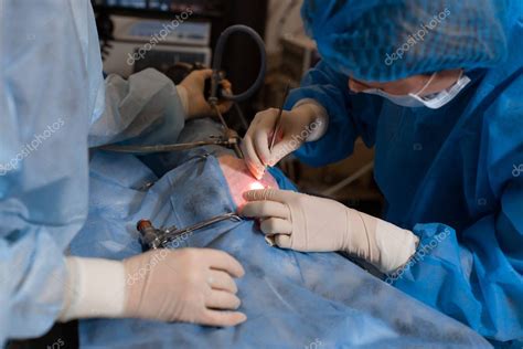 Veterinario Haciendo La Operaci N De Esterilizaci N El Gato En La Mesa