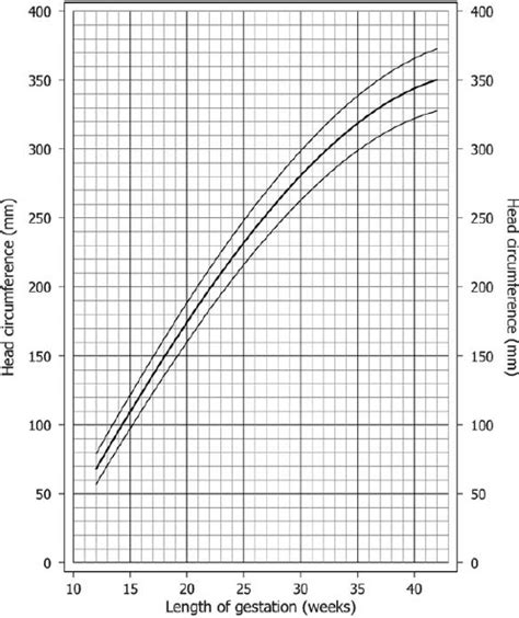 Fetal Growth Chart Head Circumference Keski