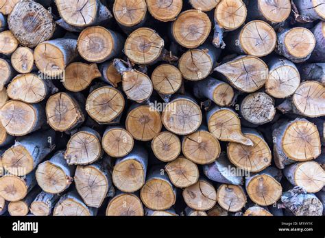 Stack Of Lumber Chopped As Firewood Stock Photo Alamy