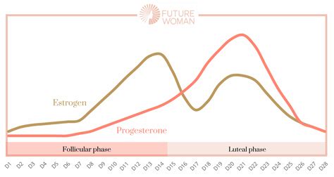 What's a normal menstrual cycle? - FUTURE WOMAN