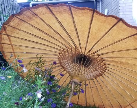 Antique Japanese Parasol 1920s Wagasa Umbrella Bamboo Shaft And Ribs Etsy