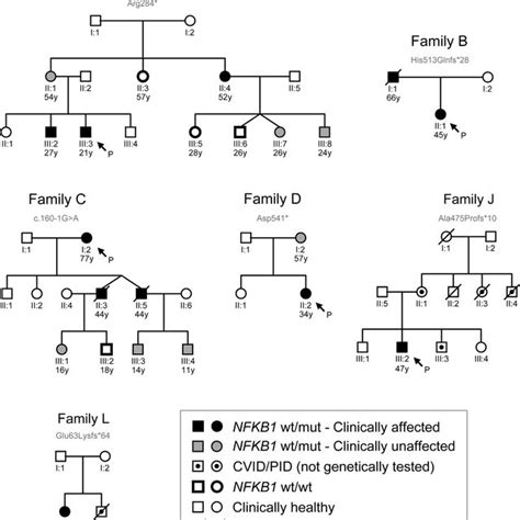 Pedigrees Of Familial NFKB1 Cases Six Affected Families For Which