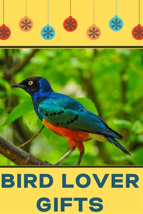 7 Unique Ts For Bird Lovers Bird Lovers Bird Watcher Ts Bird