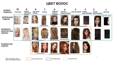 Цвет волос для разных цветотипов | Мягкая осень, Волосы, Цвет волос