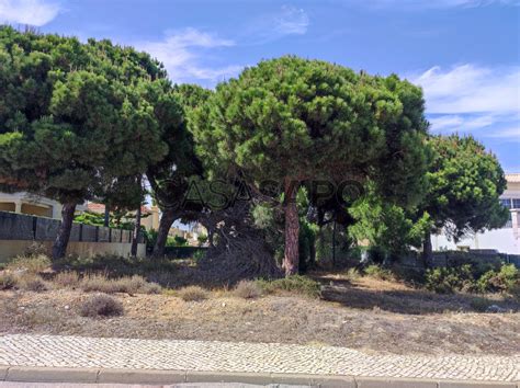 Terreno Urbano Venda 1 275 000 em Loulé Almancil Vale do Garrão