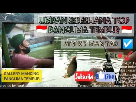 UMPAN IKAN MAS SEDERHANA HASIL MEMUASKAN Ft SENA ESSEN OPLOSAN DURIAN