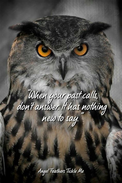 Pin On Positive Thinking Animal Lover Quotes Good Morning Friends
