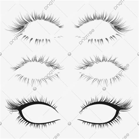 Рисованные тонкие вьющиеся длинные ресницы PNG , клипарт для ресниц ...