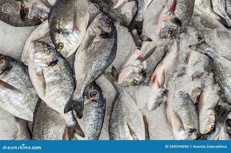 Peixe Fresco Refrigerado Entre Gelo Num Supermercado Foto De Stock