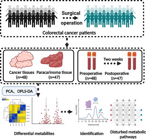 Frontiers Untargeted Gc Ms Based Metabolomics For Early Detection Of