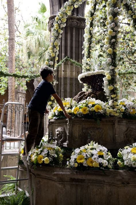 Catedral De Barcelona On Twitter Un Jove Del Centre Obert