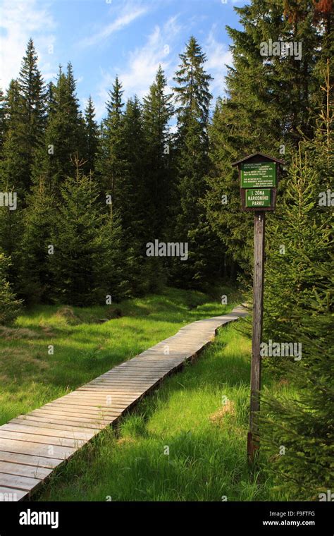 National Park Sumava, Czech Republic Stock Photo - Alamy