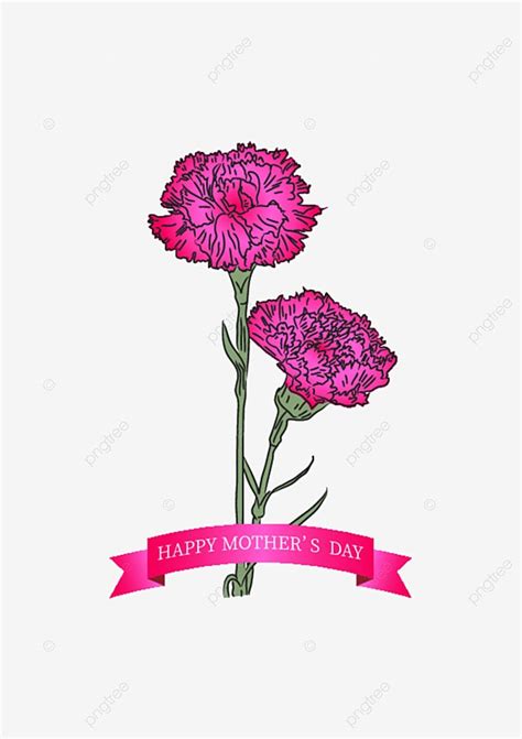 Carnations Flower Clipart Vector Carnation Mothers Day The Flowers