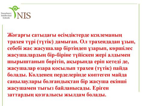 Ксилема мен флоэма құрылысындағы ерекшеліктерді біледі - презентация онлайн