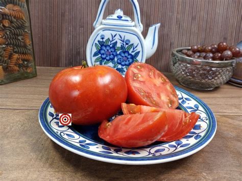 Clint East Woods Rowdy Red Tomato Bounty Hunter Seeds Rare Seeds