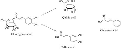 4 Cinnamic acid derivatives. | Download Scientific Diagram