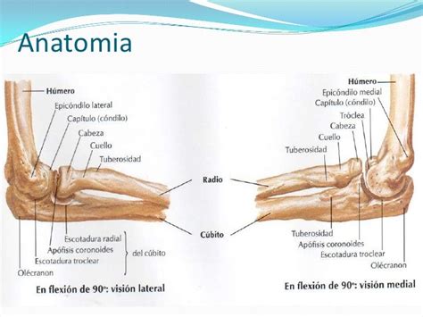 Fracturas Supracondileas Del Codo