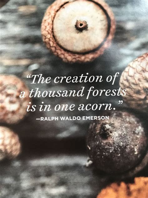 The Creation Of A Thousand Forests Is In One Acorn Ralph Waldo