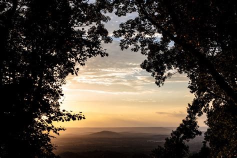 Free Images Tree Nature Branch Light Cloud Sky Sun Sunrise