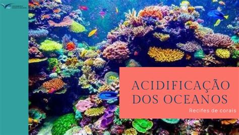 Acidificação Dos Oceanos