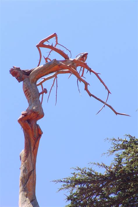 Carving Of Jesus Christ The Cedars Of Lebanon Dsc07451 Flickr