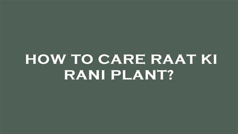 How To Care Raat Ki Rani Plant Youtube