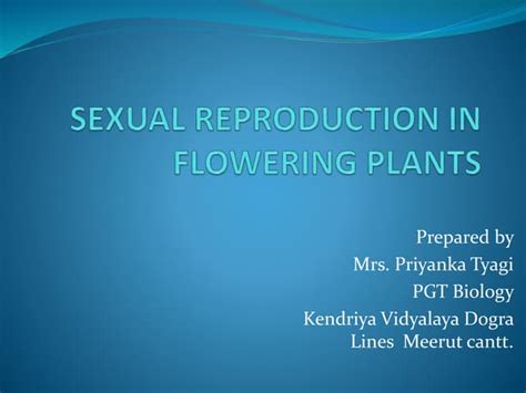 Sexual Reproduction In Flowering Plants Pptx