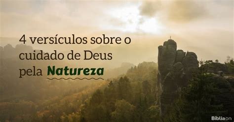 Frase Natureza E Deus - 4 versículos sobre o cuidado de Deus pela natureza | Frase sobre ...