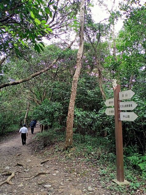 三訪桃園蘆竹羊稠森林步道【桃園 臺灣百大必訪步道】【南山神壽任務】 健行筆記