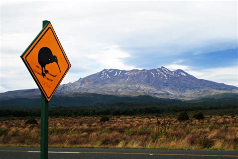 New Zealand North Island Round The World