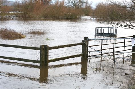 IFA Seek Meeting With Minister O Donnell As Lough Funshinagh At Crisis