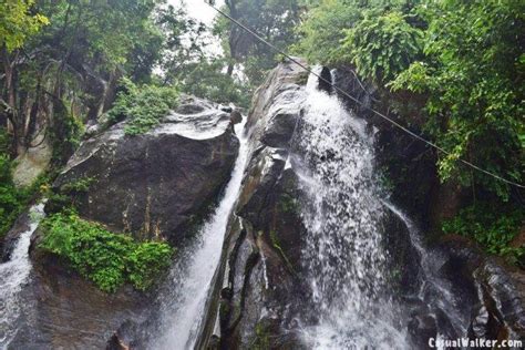 Aintharuvi Waterfalls : Five Falls, Courtallam in Tenkasi - Best WaterFalls in Courtallam ...