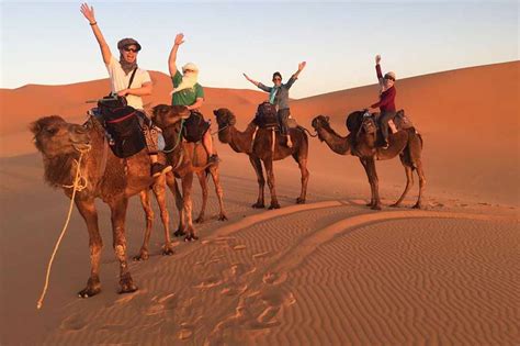 Best Sunset Camel Trek In Merzouga Camel Tour