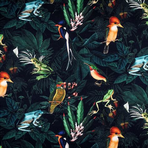 Colorful Tropical Birds Frogs Foliage Stof France Cotton Fabric Modes U