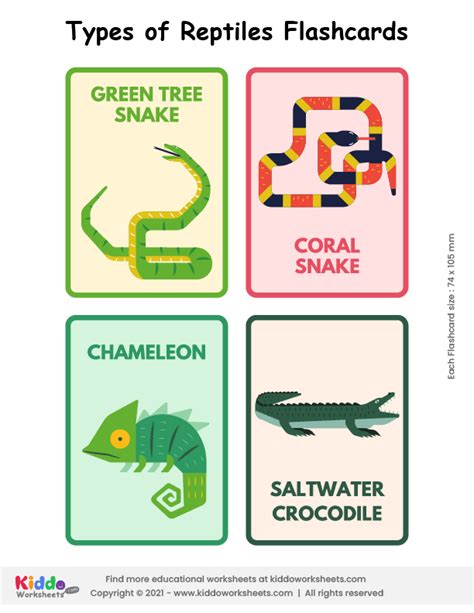 Free Printable Reptiles Flashcards Flashcards Kiddoworksheets