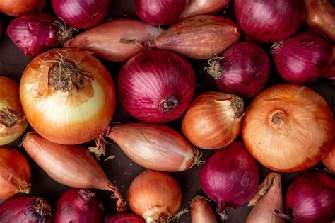 Government Imposes 40 Duty On Onion Exports Effective May 4 Bahrain