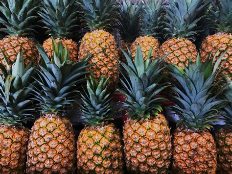 Our Guide to the Best Pineapples in the World 🍍 – Cultbizztech