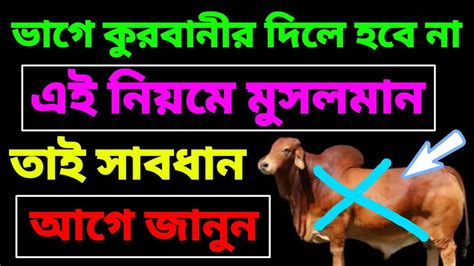 ভাগে কুরবানী দিলে কুরবানী হবে না যদি এই কথা গুলো না মানেন তাই সাবধান আগে জানুন Youtube