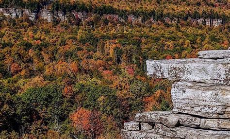 Fall Foliage to Reach Peak This Weekend Across Hudson Valley