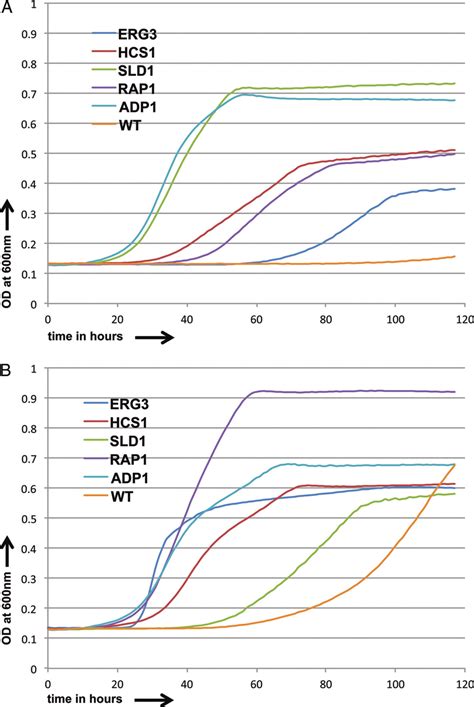 Growth Curves For Resistant C Albicans Strains And Cass Wt In The