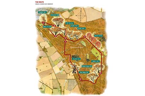 Savernake Forest map | Forest map, Forest, Go outdoors