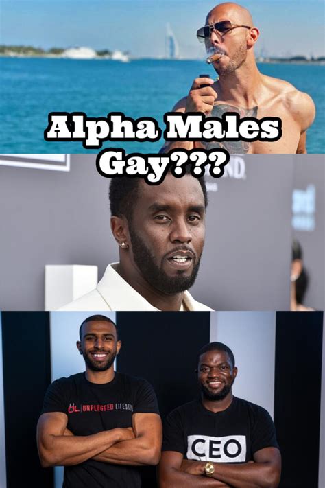 Are Alpha Males Gay Why Straight Men Sleep With Men Fresh Fit Gay