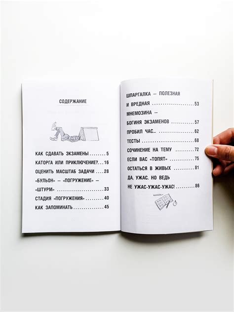 Что делать, если ждет экзамен - Vilki Books