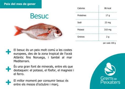 Peix Del Mes El Besuc Gremi De Peixaters De Catalunya