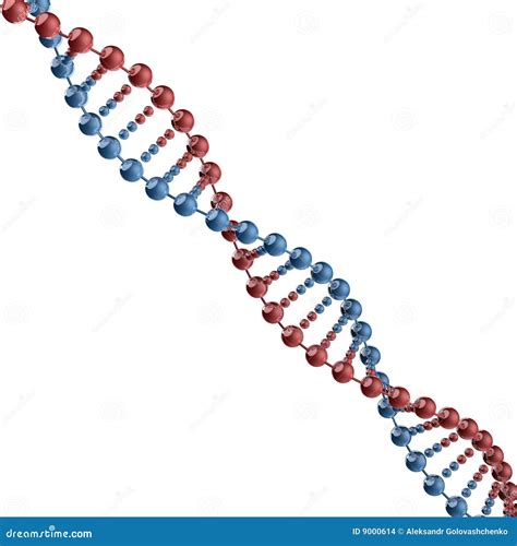 Dna Molekyl Stock Illustrationer Illustration Av Livstid 9000614