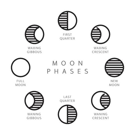 Premium Vector Moon Phases Line Icons Set