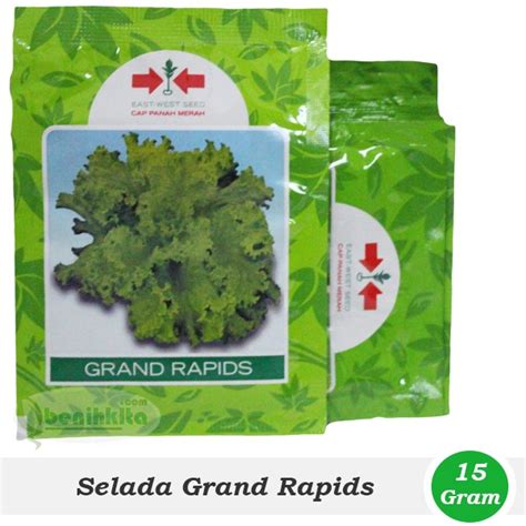 Jual Benih Bibit Selada Grand Rapids 15gr Cap Panah Merah Shopee